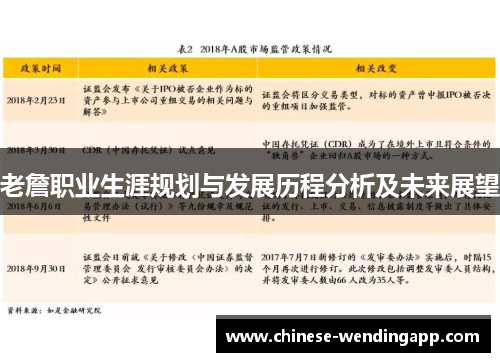 老詹职业生涯规划与发展历程分析及未来展望