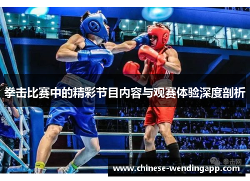 拳击比赛中的精彩节目内容与观赛体验深度剖析