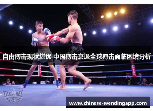 自由搏击现状堪忧 中国搏击衰退全球搏击面临困境分析